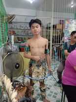 champion-eco-modelo-pic